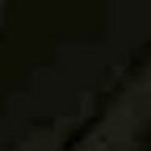 Meet your Posher, Paul